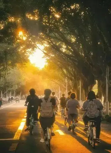 遥望壁纸怎么下载_遥望壁纸app下载_遥望app的壁纸怎么下载