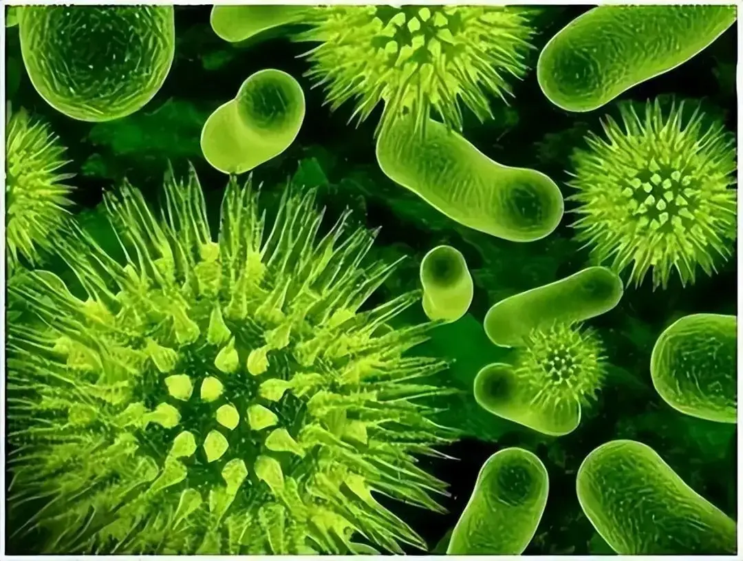 悖论经典_悖论讲解_闪点悖论