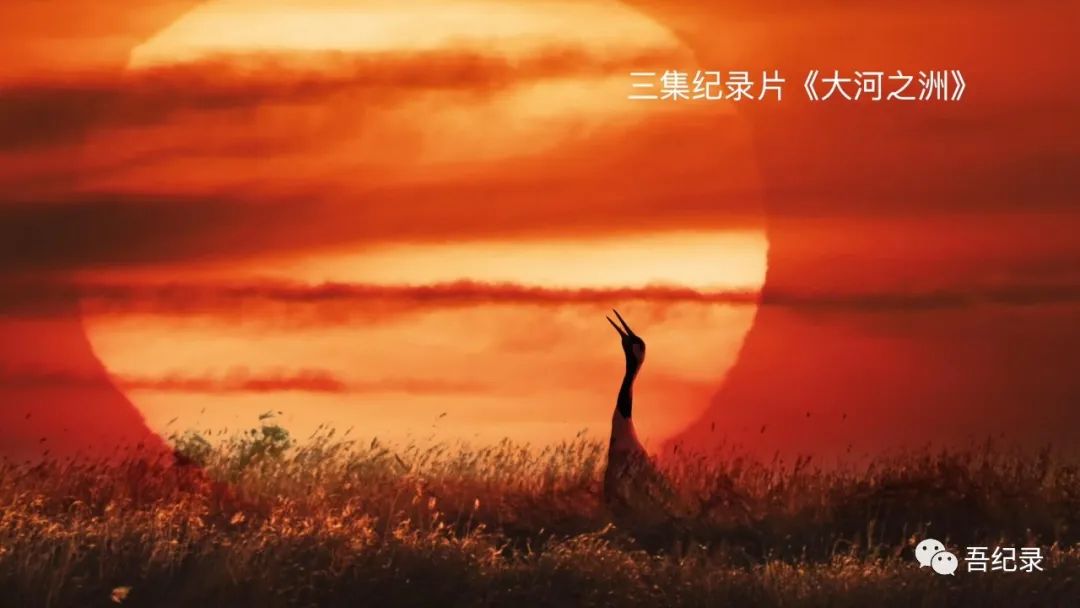 影月_影月苍狼是第几军团_影月苍狼忠诚派