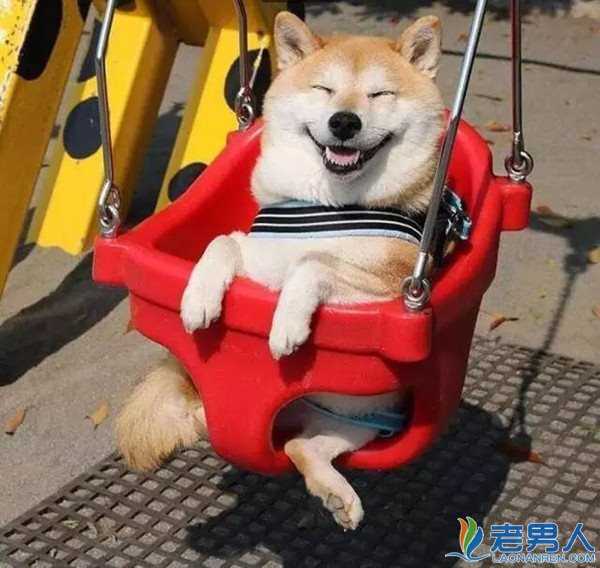 萌翻_萌翻_萌翻