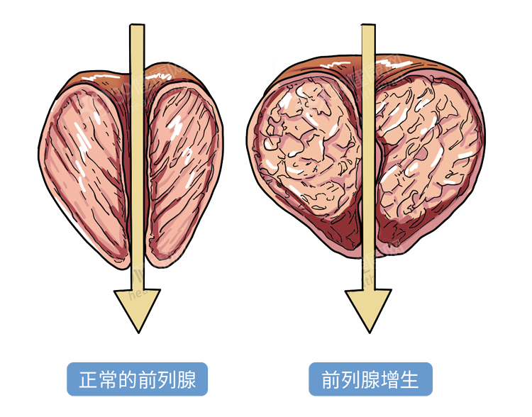 笔记本电池健康怎么看_笔记本电池健康度怎么看_看笔记本电池寿命