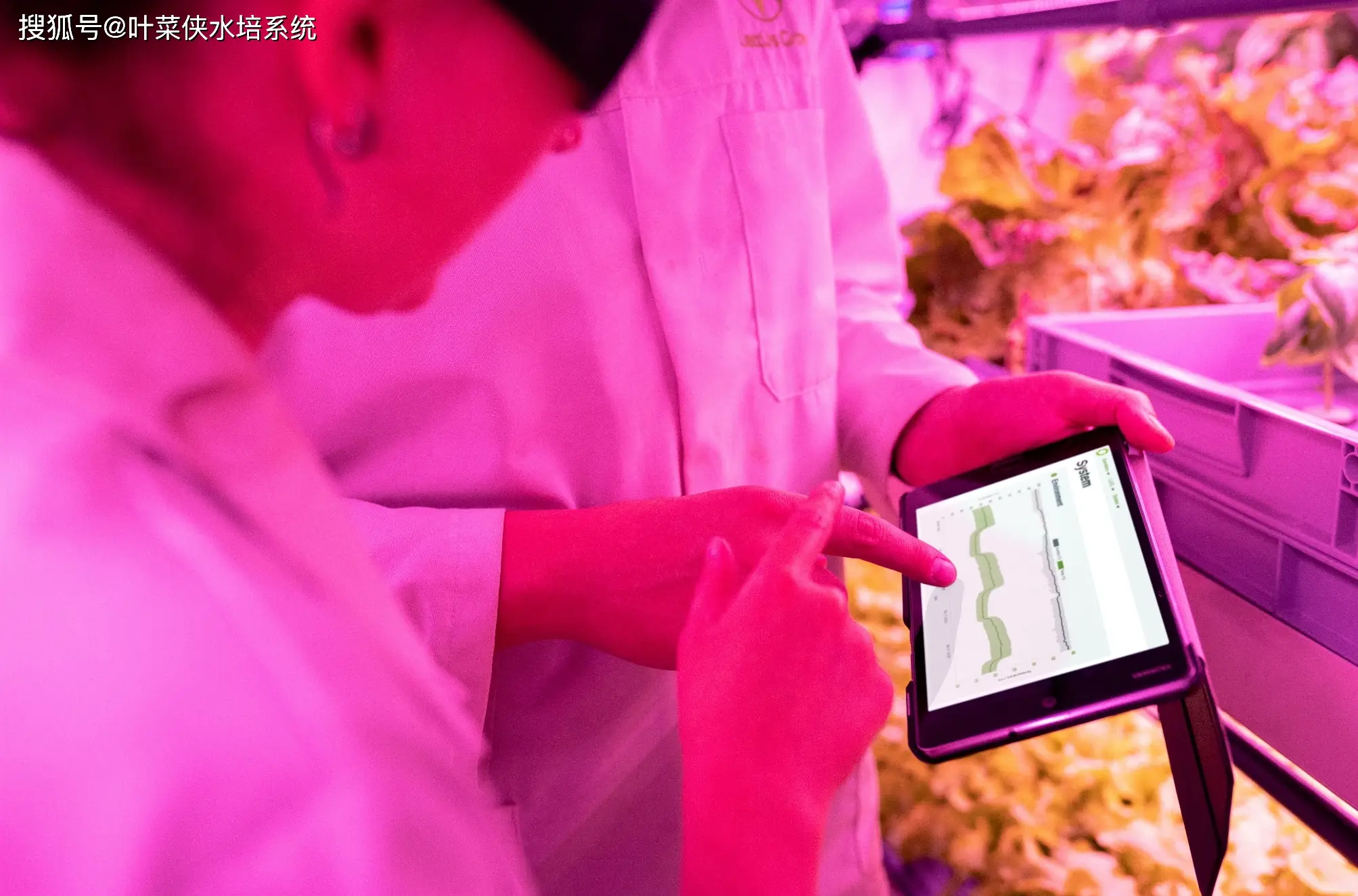 带有菜单栏的全屏模式_全屏手机菜单键屏内可以设置吗_手机全屏游戏下拉不了菜单