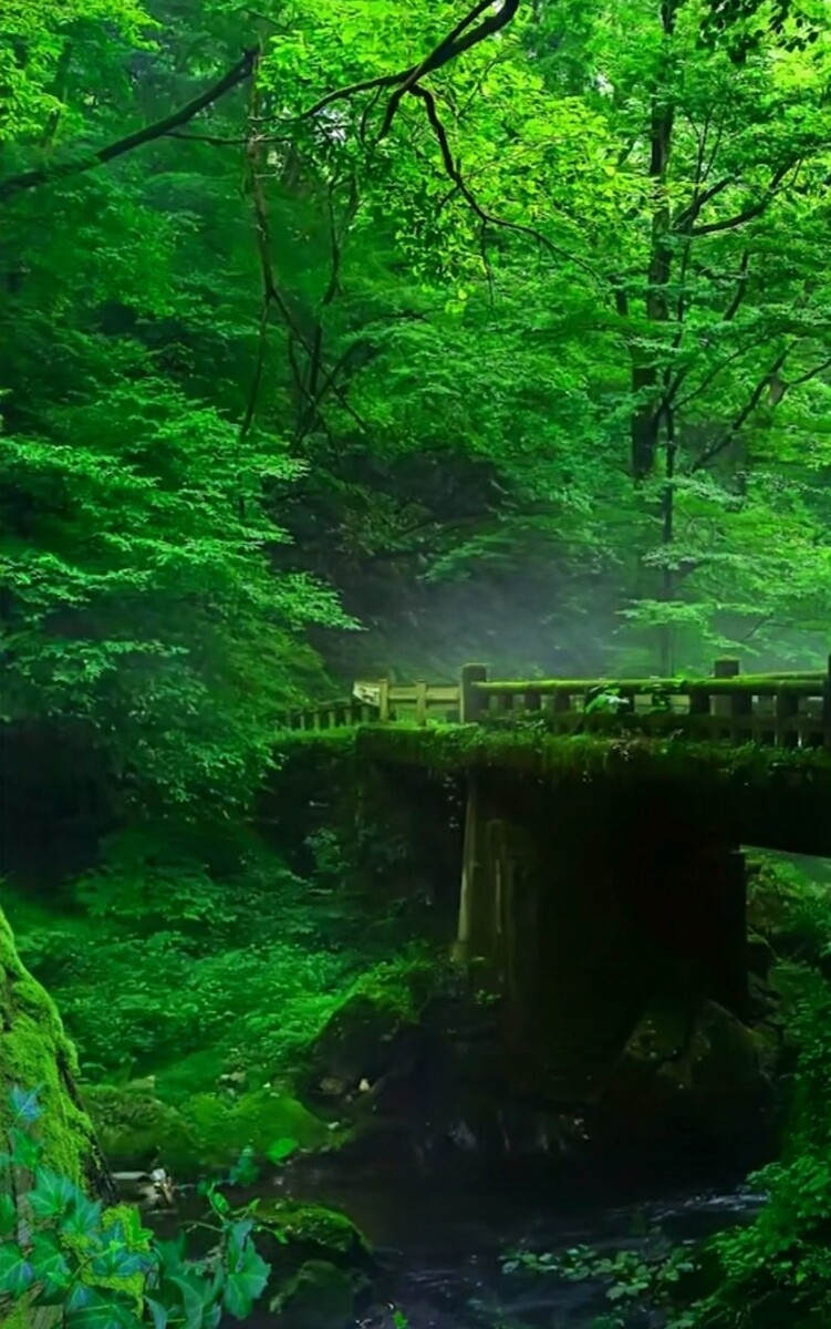 天堂dio_天堂dio台词_天堂dio是荒木画的吗