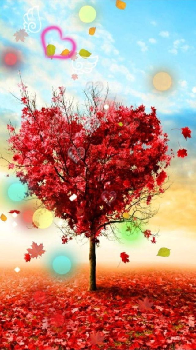 感恩节来源简短_感恩节由来_感恩节的由来起源简单简短介绍