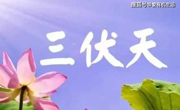 三伏天开始到结束_三伏天是几号开始几号结束_几号三伏天从什么时候开始