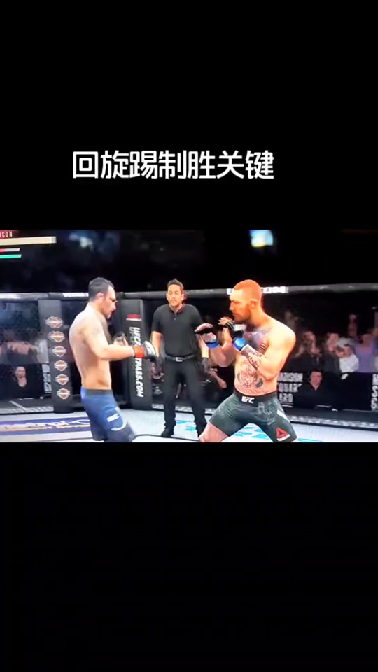 攻略手机游戏_手机游戏ufc攻略_ufc手机游戏新手指南