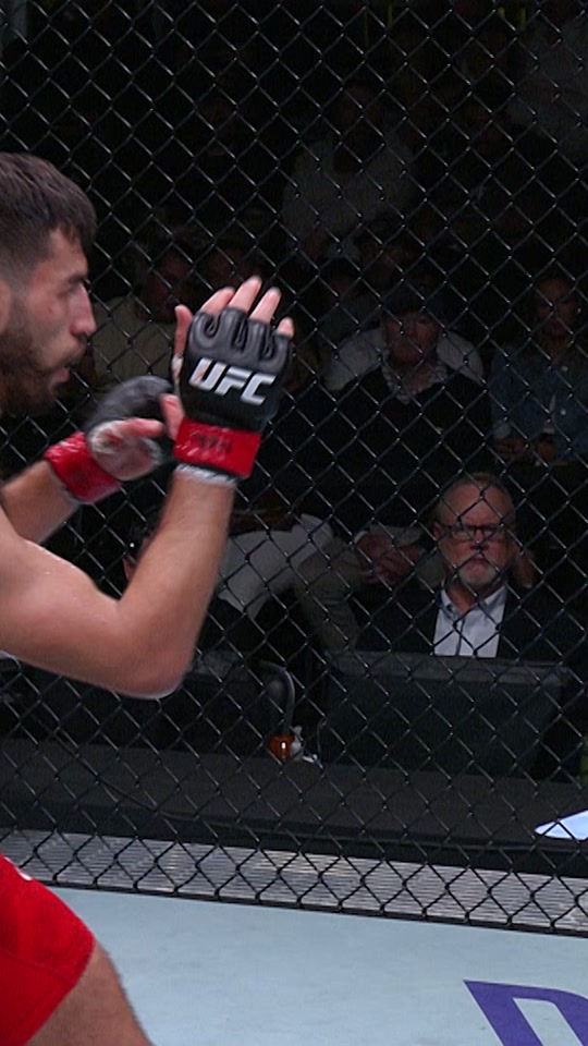 ufc手机游戏新手指南_攻略手机游戏_手机游戏ufc攻略