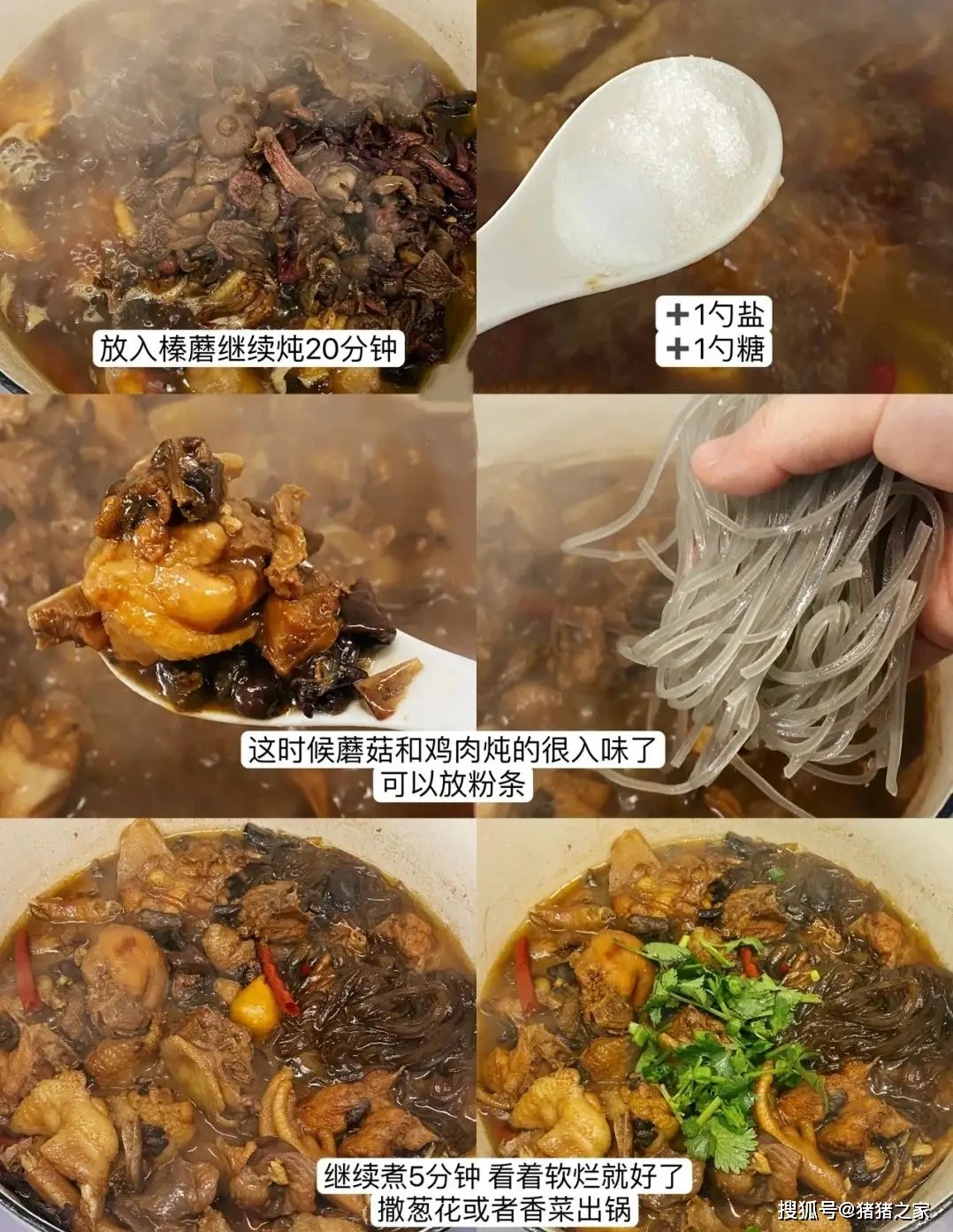 雪菜碧池和冬马小三是什么意思_雪菜碧池_雪菜碧池在美国是什么意思