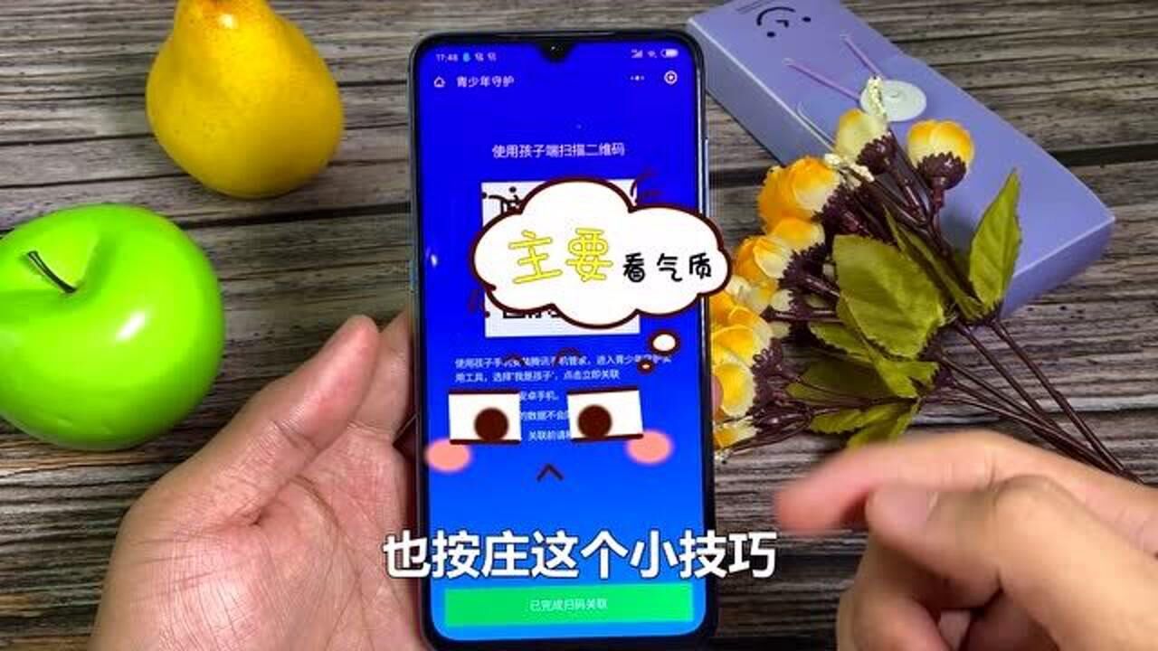 远程监控器下载_手机远程监控app下载与安装_远程监控手机软件下载