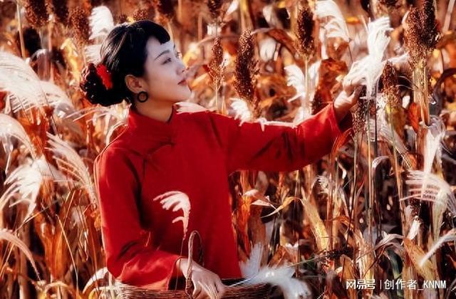 电影张艺谋英雄免费观看_张艺谋电影英雄在线看_电影英雄观看张艺谋免费播放