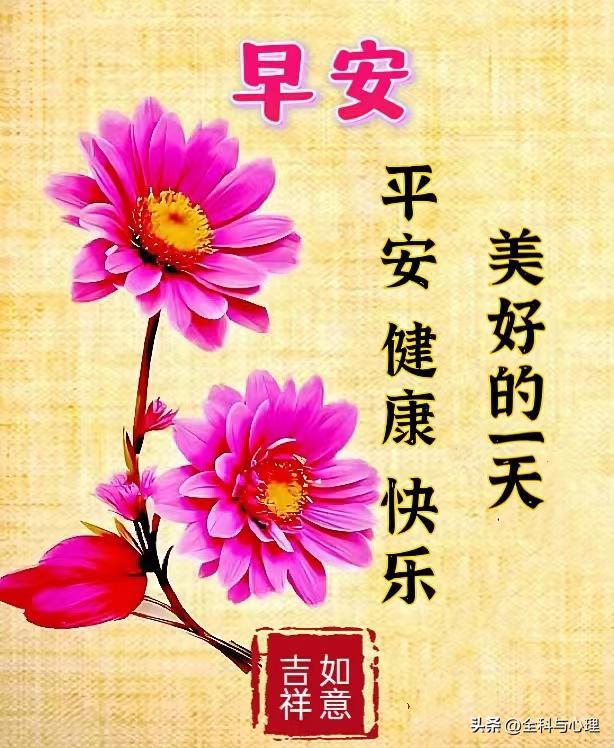 六月初一：阳光灿烂，梦想飞翔，友情与希望交织的特别日子