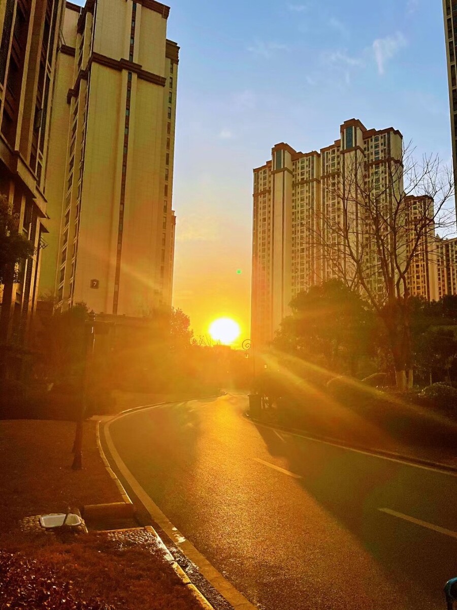 四叶草剧场_《四叶草剧场》_四叶草剧场剧照一套