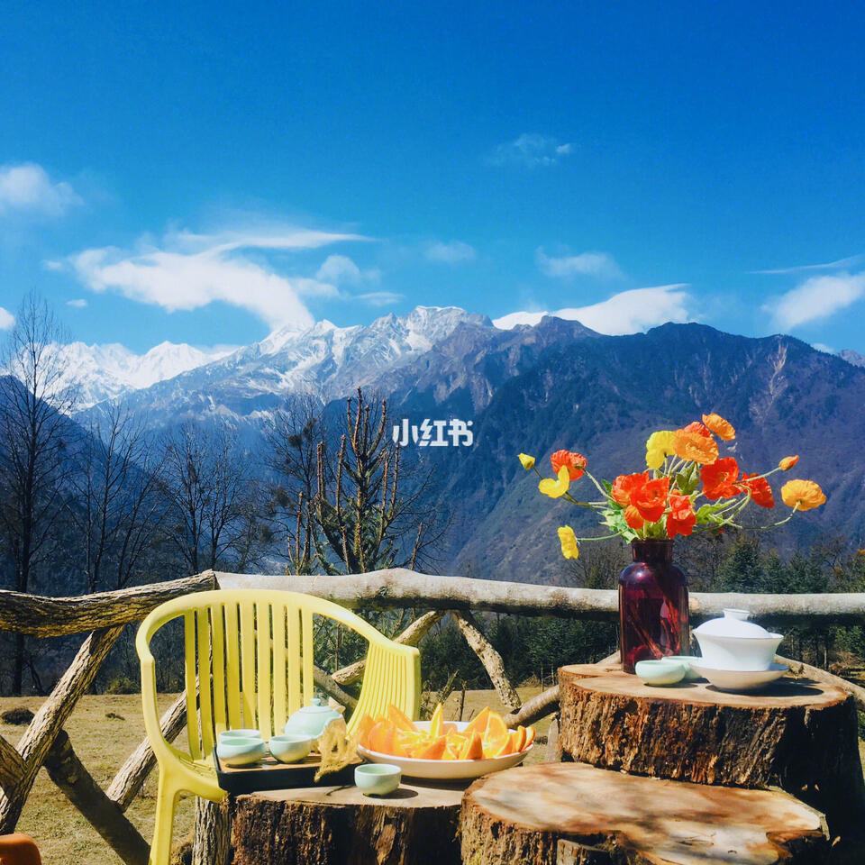 诺丁山电影_电影诺丁山主题曲_电影诺丁山台词中英对照