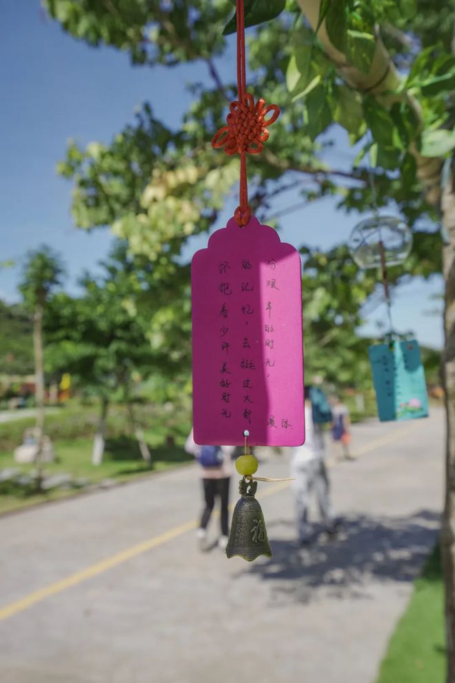 手机游戏载体变换_变换载体手机游戏_变换游戏小说