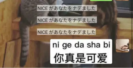 网页微信传输文件记录在哪_微信文件传输网页_传输网页微信文件安全吗