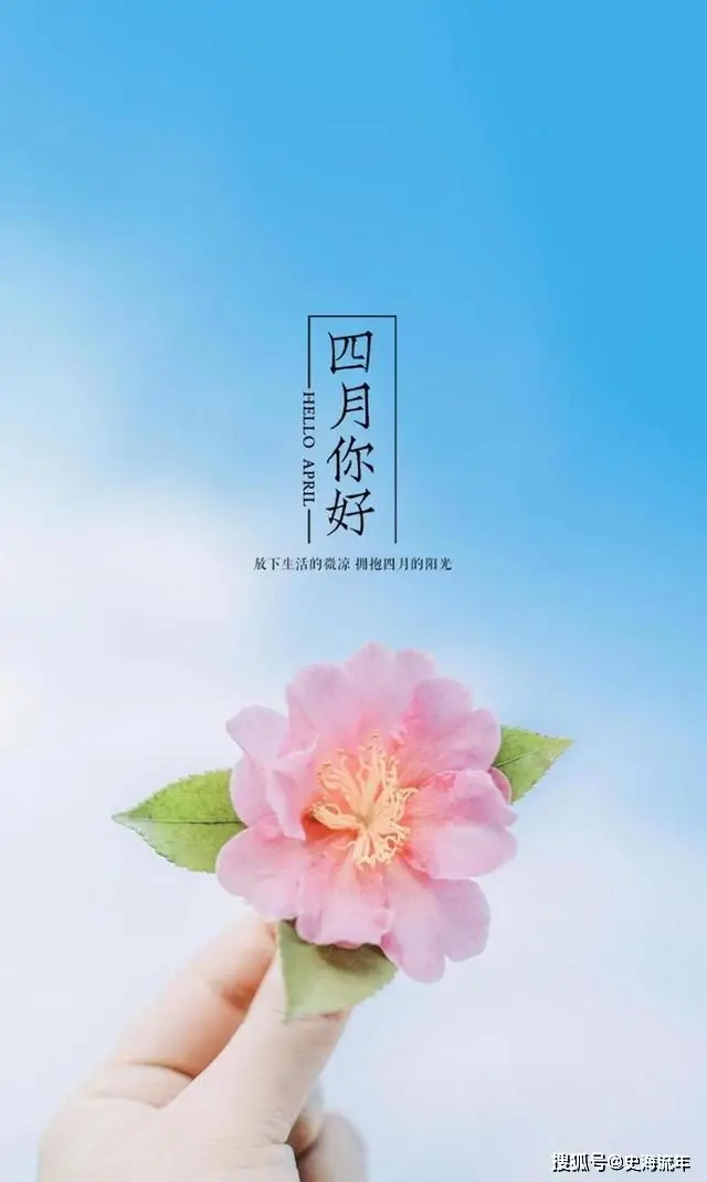 十五从军征_四月十五日_十五峯