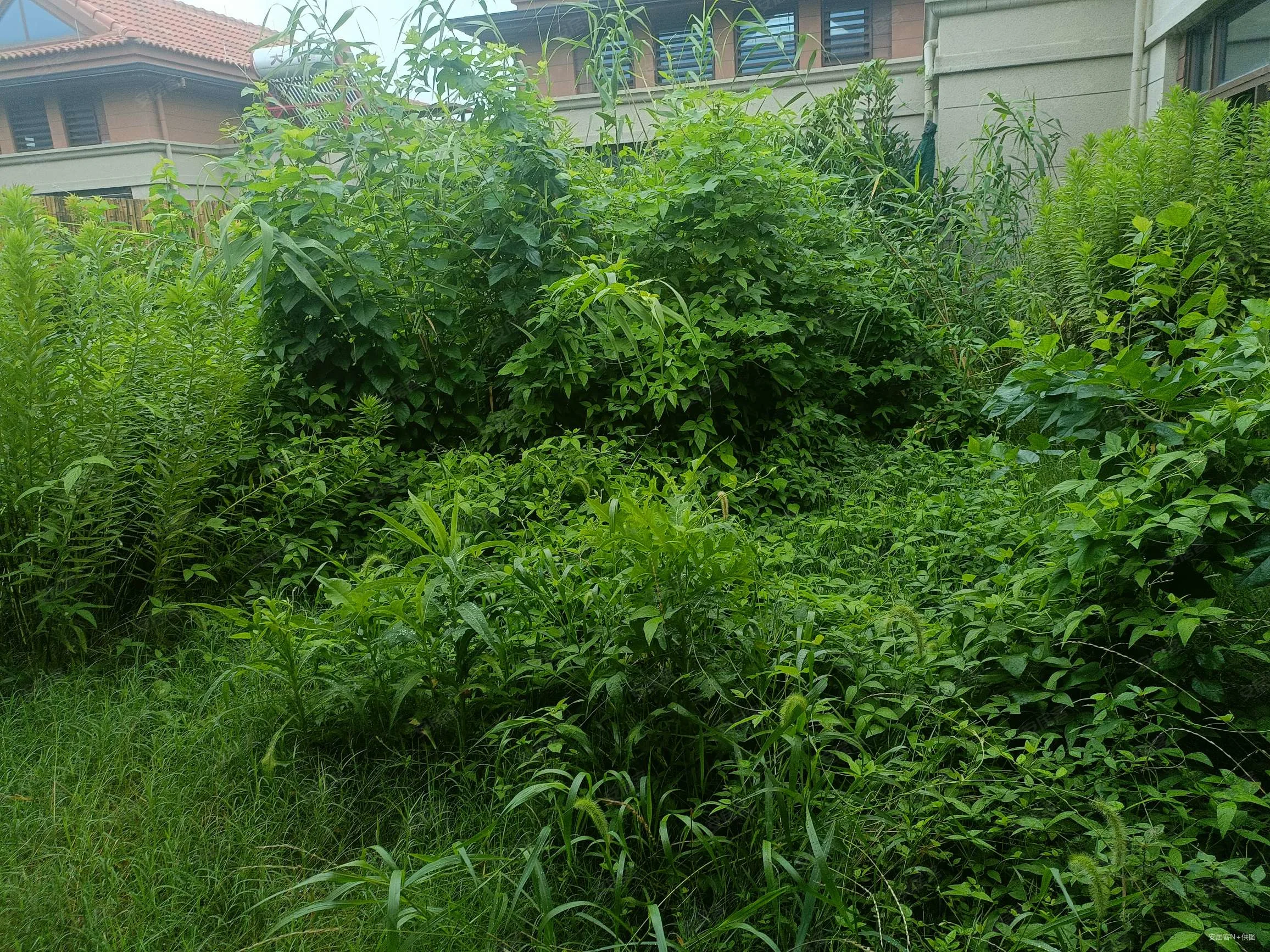 华为红色闪电不开机_闪电开机华为红色按钮_闪电开机华为红色标志