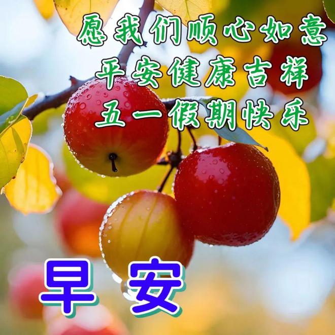 艾希莉：阳光般温暖的女孩，我心中的梦想与幸福