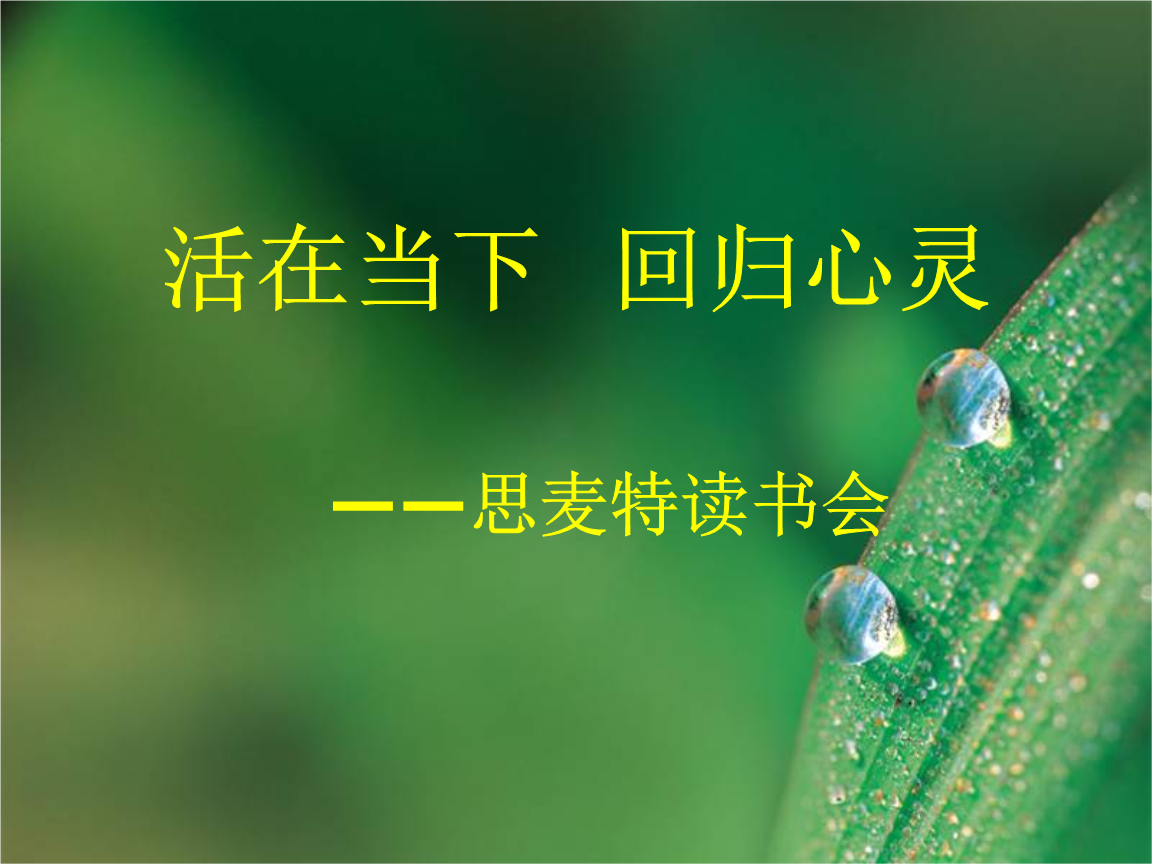 回归方程_回归电影_八重回归