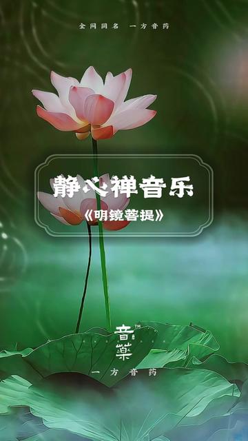 回归电影_回归方程_八重回归