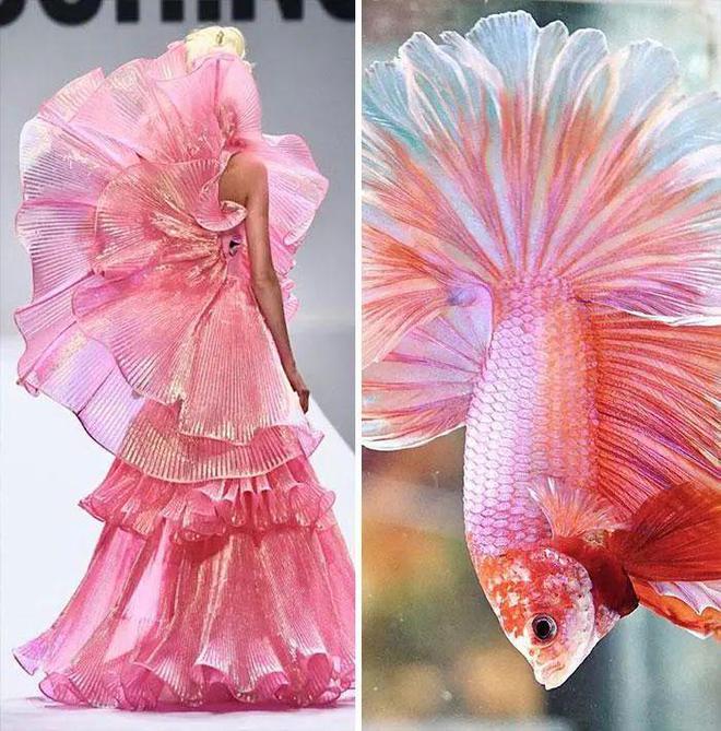 服装设计的手机游戏_服装真实师版手机设计游戏推荐_真实服装设计师游戏手机版