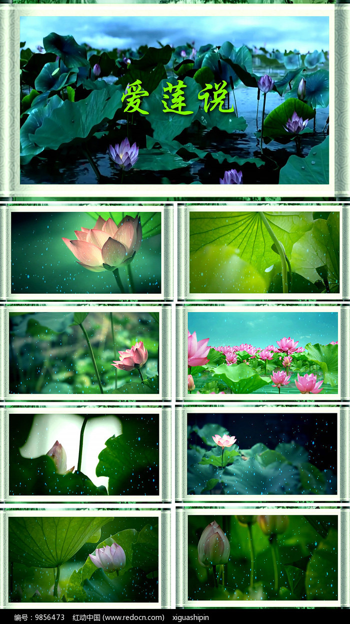 手机游戏爱莲说故事_爱莲说游戏讲了一个什么故事_爱莲说故事手机游戏怎么玩