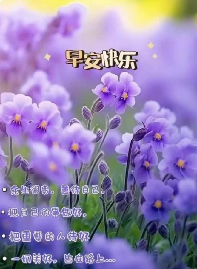 年历查询农历还是阳历_年历查询农历怎么查_万年历农历查询