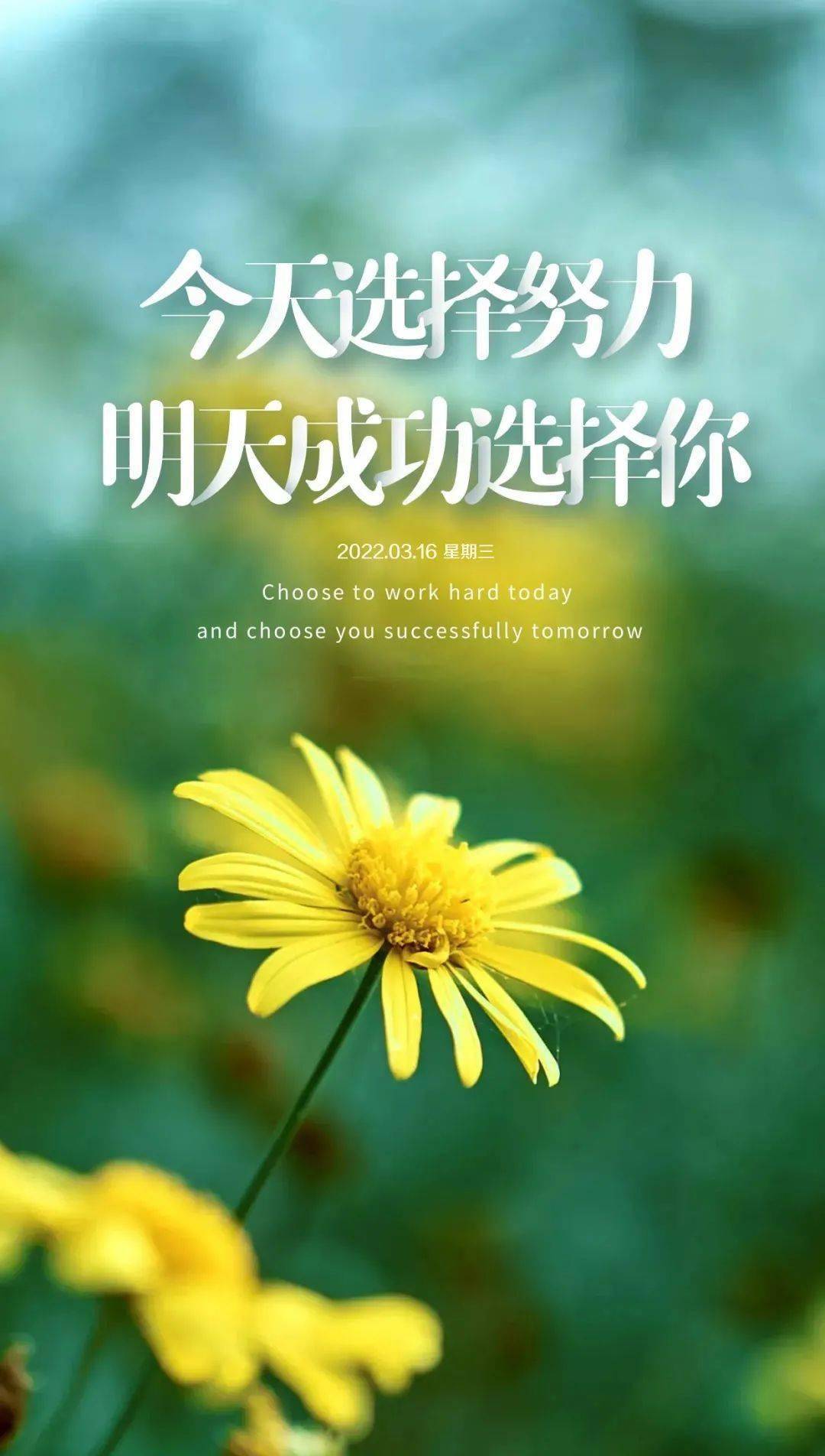 手机游戏职业玩家的生活：有得有失，痛并快乐着