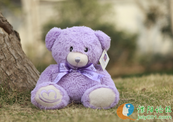 圣诞节今年是几号_圣诞节今年是什么时候_今年圣诞节是几号