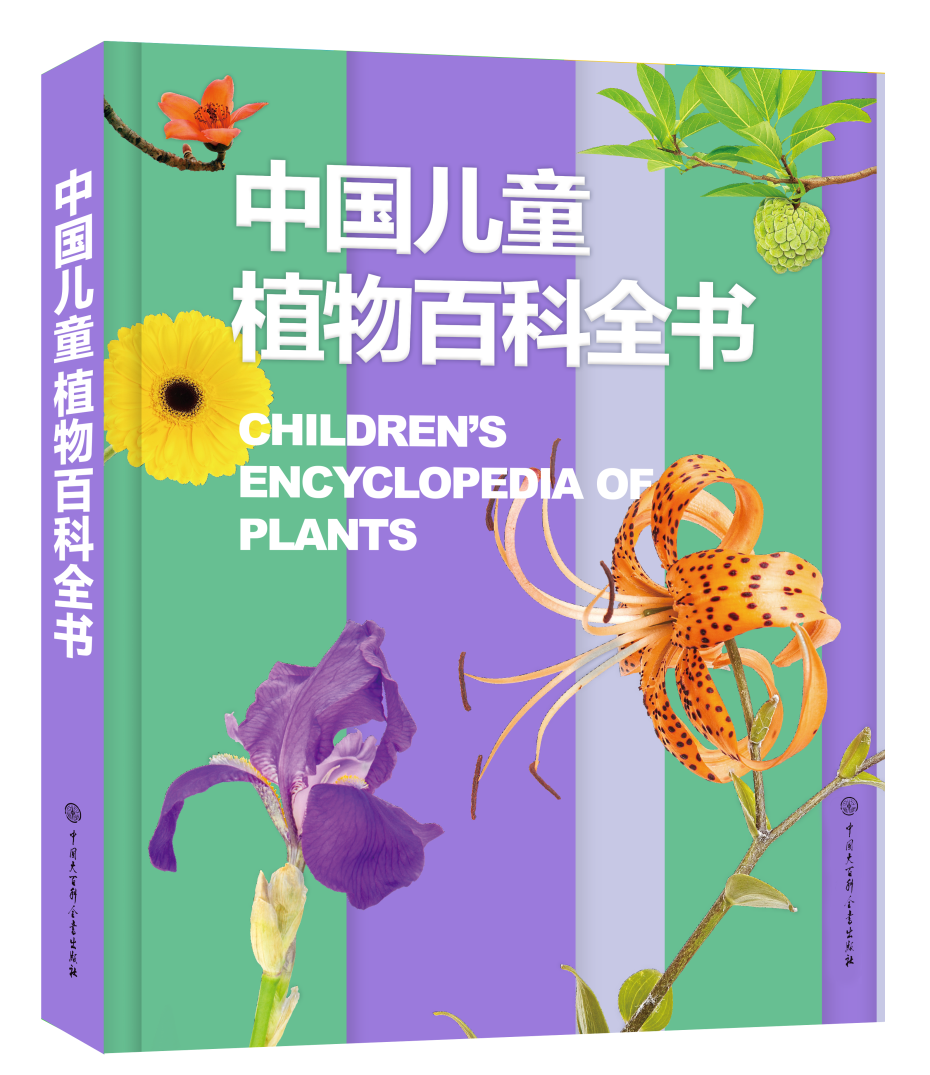 联合王国英文_王国的英文_姜饼人王国英文