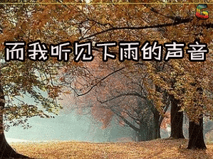听见下雨的声音_下雨听见声音就想哭_下雨天听到雨声