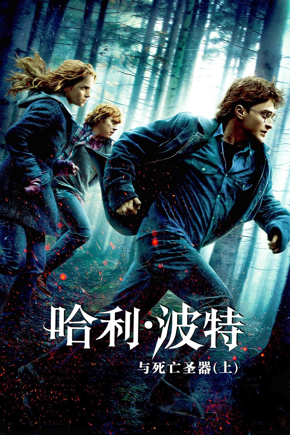 我要看哈利波特死亡圣器_哈利波特7：死亡圣器(上)免费观看_哈利波特死亡圣