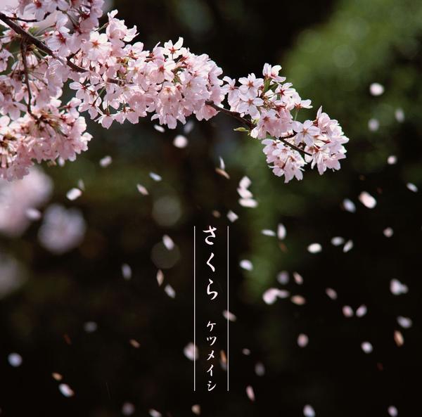 樱花软件_樱花软件_樱花软件