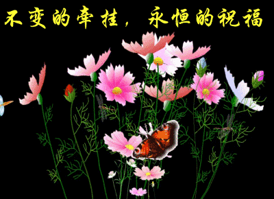 手机游戏问候语大全_问候游戏_好玩的问候语