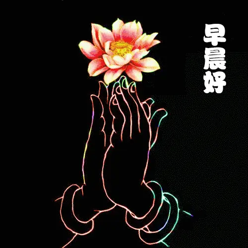 好玩的问候语_问候游戏_手机游戏问候语大全