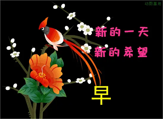 好玩的问候语_问候游戏_手机游戏问候语大全