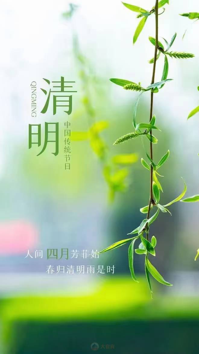 清明时节雨纷纷路上行人欲断魂_清明时节雨纷纷路上行人欲断魂_清明时节雨纷纷路上行人欲断魂