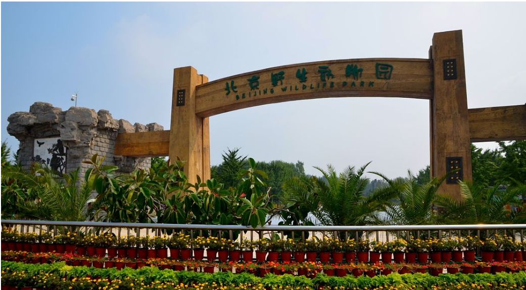 手机投胎游戏_投胎转世游戏_投胎手机游戏叫什么