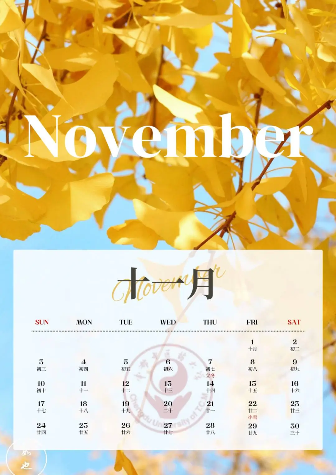 2023年日历6月_日历2023年日历表_2023年日历表带农历