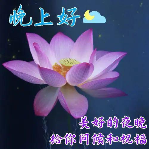 很治愈的手机游戏_治愈简约手机游戏_简约治愈的游戏