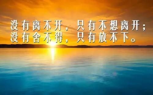 星白闲_星白闲_星白闲