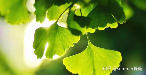 柏木亚美_美亚柏科板材_亚美柏科
