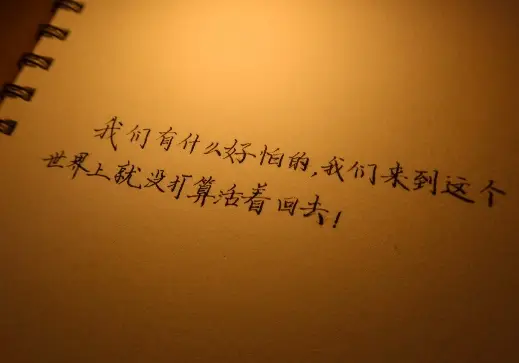 句易网在线检测_句易网app官方下载_句易