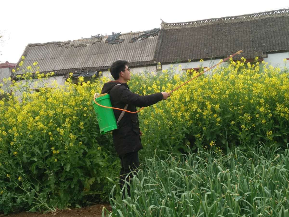 五一劳动节的来历和意义_五一劳动节_五一劳动节英语