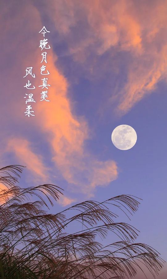 朝日奈_朝日奈_朝日奈