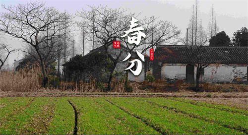 春分活动策划方案_春分民间活动_春分的民俗活动