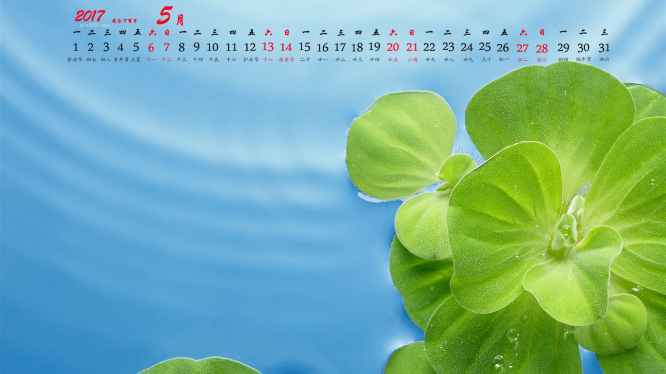 6月日历图片_日历图片素材_日历图片唯美