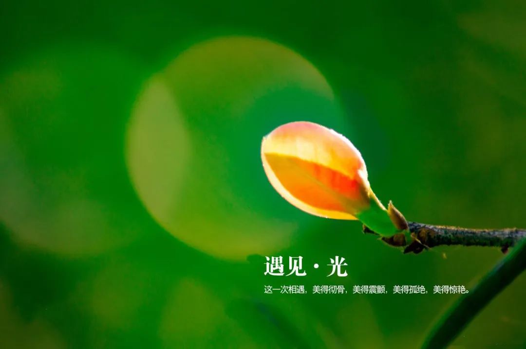 王璨_王璨璨怎么读_王璨