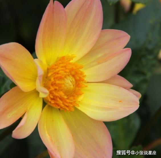 萝莉有三好_萝莉有三好_萝莉有三好