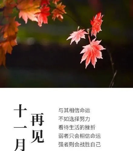 日子是啥_11月29日是什么日子_日和月是